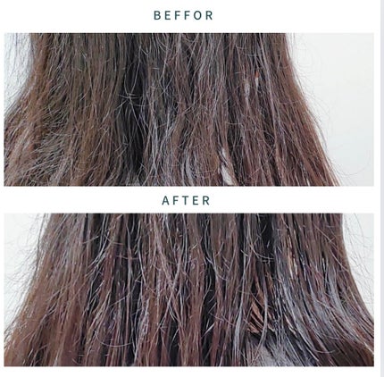 KAMIKA ベルガモットジャスミンの香り/KAMIKA/サロンシャンプーを使ったクチコミ(3枚目)