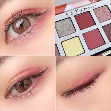 エクスプローラ12色 動物アイシャドウパレット/PERFECT DIARY/アイシャドウパレットを使ったクチコミ(4枚目)