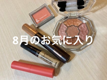 カバーパーフェクション チップコンシーラー/the SAEM/リキッドコンシーラーを使ったクチコミ(1枚目)