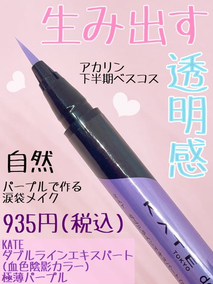 ダブルラインエキスパート(血色陰影カラー)/KATE/リキッドアイライナーを使ったクチコミ(1枚目)