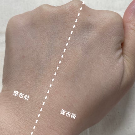 毛穴パテ職人 毛穴崩れブロックパウダー/毛穴パテ職人/ルースパウダーを使ったクチコミ(5枚目)