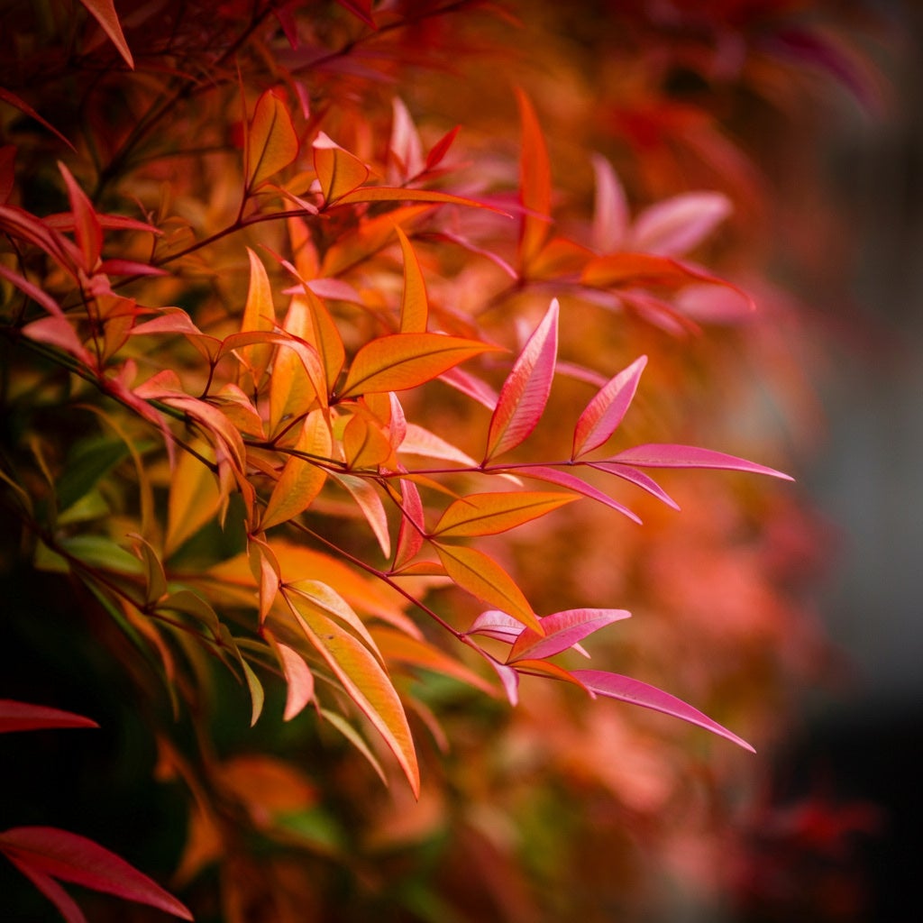 ロング&カールマスカラ アドバンストフィルム/ヒロインメイク/マスカラを使ったクチコミ(5枚目)