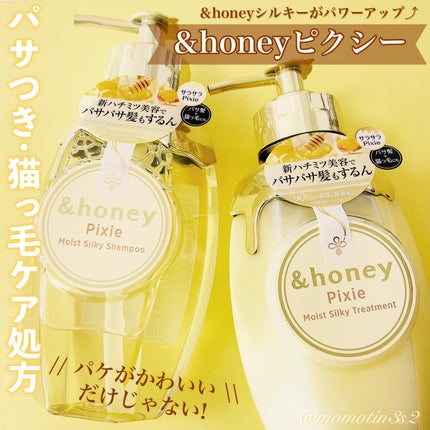 ã¢ã³ããã㌠ãã¯ã·ãŒ ã¢ã€ã¹ãã·ã«ã㌠ã·ã£ã³ããŒ1.0/ãã¢ããªãŒãã¡ã³ã2.0/&honey/åžè²©ã·ã£ã³ããŒã䜿ã£ãã¯ãã³ãïŒ1æç®ïŒ