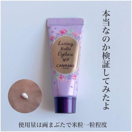 ラスティングマルチアイベース WP/キャンメイク/アイシャドウベースを使ったクチコミ(3枚目)