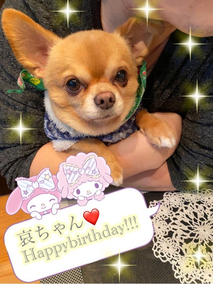 THE アイパレR/b idol/アイシャドウパレットを使ったクチコミ(3枚目)