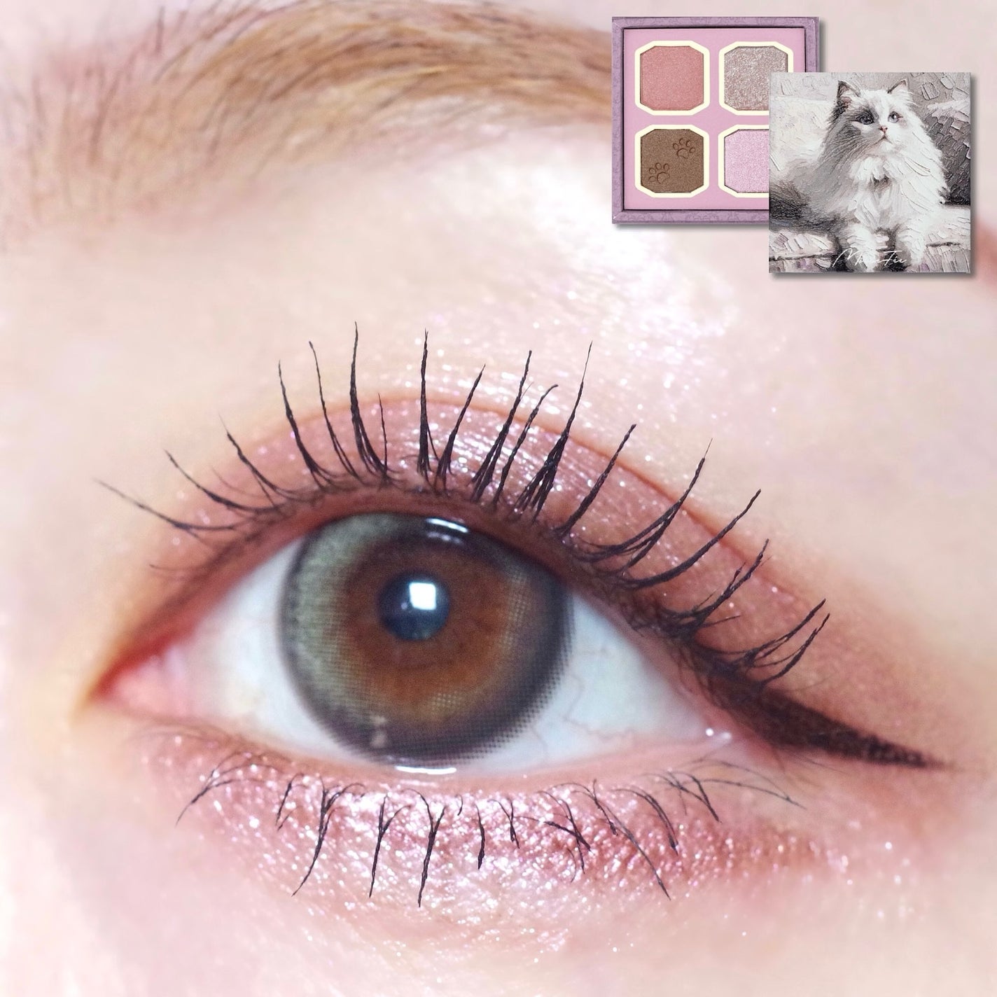 マイキティアイパレット/MilleFée/アイシャドウパレットを使ったクチコミ(1枚目)