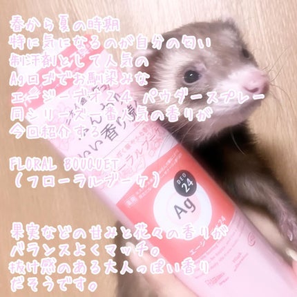 パウダースプレー(フローラルブーケ)/エージーデオ24/デオドラント・制汗剤を使ったクチコミ(2枚目)