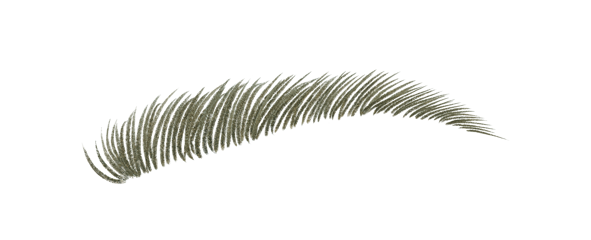 ブロー スウォードナギナタ アッシュ オリーブ（限定）