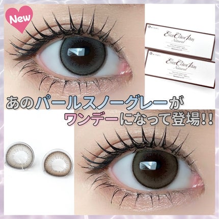 エバーカラーワンデー ナチュラル/エバーカラー/ワンデー(1DAY)カラコンを使ったクチコミ(1枚目)