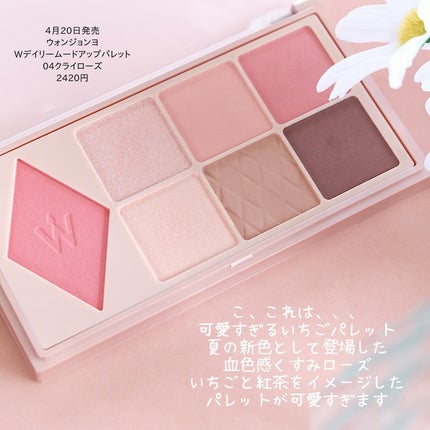 ウォンジョンヨ W デイリームードアップパレット /Wonjungyo/アイシャドウパレットを使ったクチコミ(3枚目)