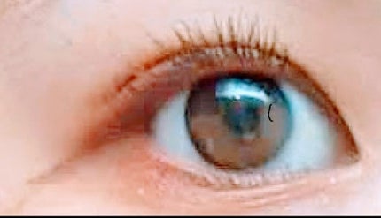 ロング&カールマスカラ アドバンストフィルム/ヒロインメイク/マスカラを使ったクチコミ(2枚目)