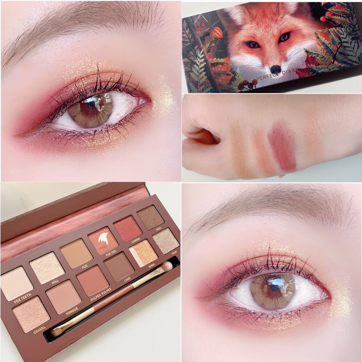 エクスプローラ12色 動物アイシャドウパレット/PERFECT DIARY/アイシャドウパレットを使ったクチコミ（1枚目）