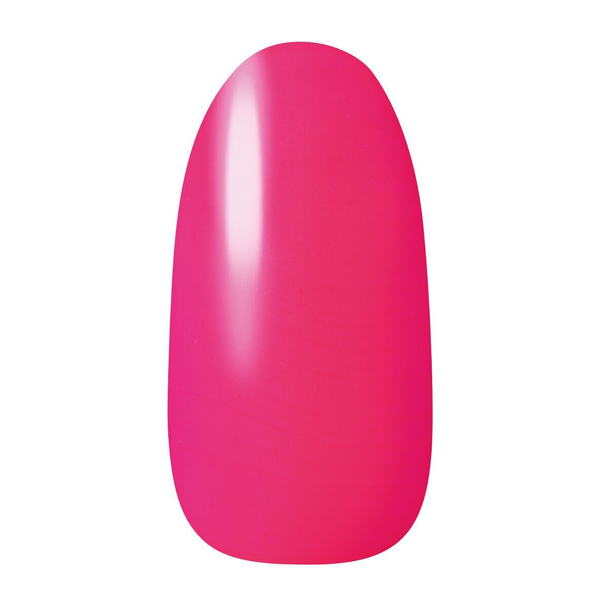 ネイルホリック Soft Neon color PK829