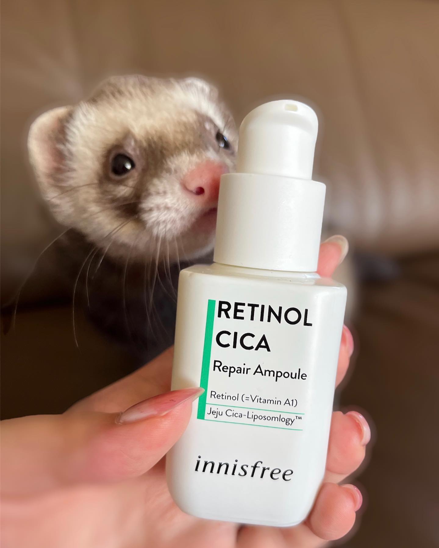 レチノール　シカ　リペア　セラム/innisfree/美容液を使ったクチコミ（1枚目）