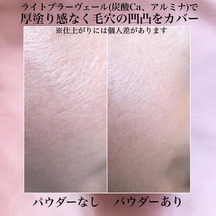毛穴パテ職人 毛穴崩れブロックパウダー/毛穴パテ職人/ルースパウダーを使ったクチコミ(3枚目)