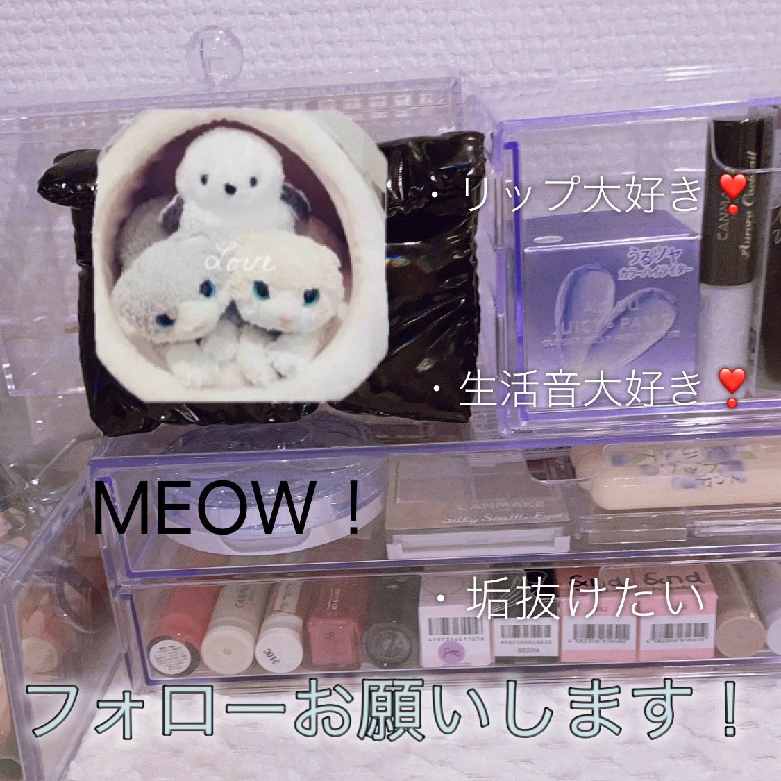 涙袋ペンシル(ティアーアイリッドペンシル)/jill leen./ペンシルアイライナーを使ったクチコミ(10枚目)