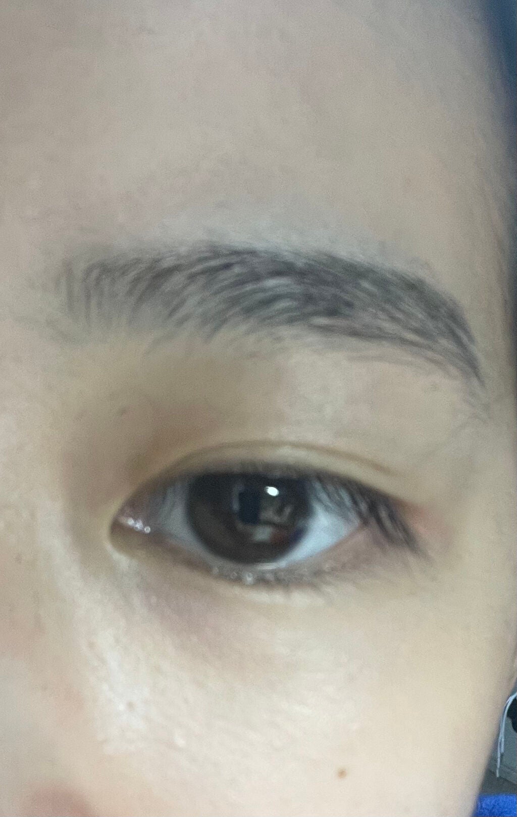 URGLAM EYEBROW MASCARA a(アイブロウマスカラa)/U R GLAM/眉マスカラを使ったクチコミ(2枚目)