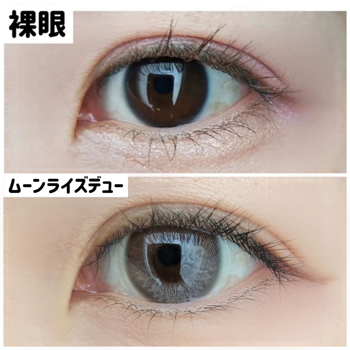 Moonrise Dew Gray/POPLENS/１ヶ月（１MONTH）カラコンを使ったクチコミ（3枚目）