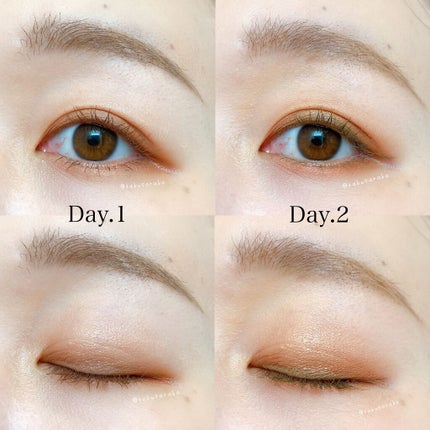 シグニチャー カラー アイズ/SUQQU/アイシャドウパレットを使ったクチコミ(8枚目)