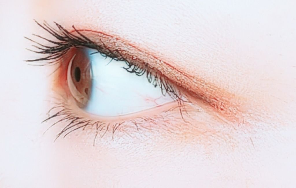 シングルカラーアイシャドウ/CEZANNE/単色アイシャドウを使ったクチコミ（3枚目）