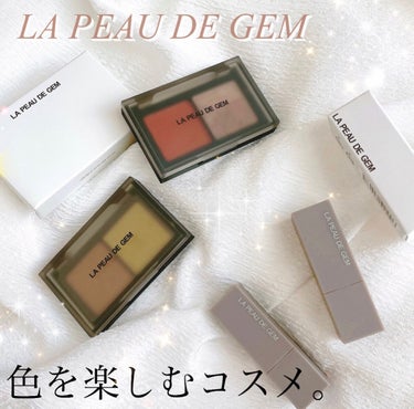 THE PALLET MIND/la peau de gem./アイシャドウパレットを使ったクチコミ（1枚目）