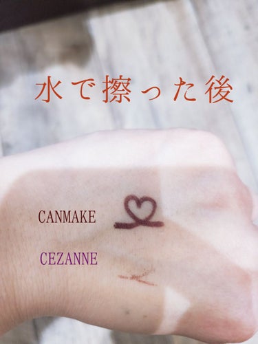 ニュアンスリキッドアイライナー/CEZANNE/リキッドアイライナーを使ったクチコミ（3枚目）