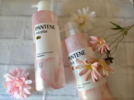 PRO-V ミセラー ピュア&ローズウォーター ノンシリコンシャンプー/トリートメント/パンテーン/市販シャンプーを使ったクチコミ(1枚目)