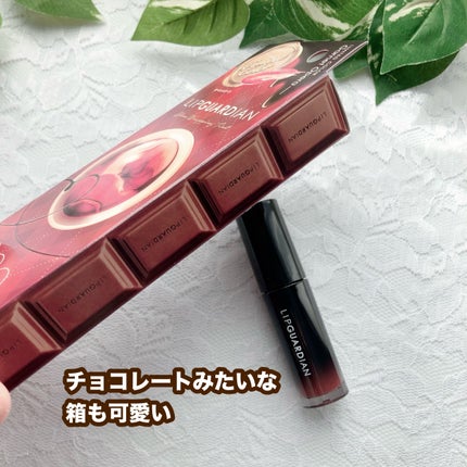 リップガーディアン グロウラッピングティントP/LIPGUARDIAN/リップティントを使ったクチコミ(2枚目)