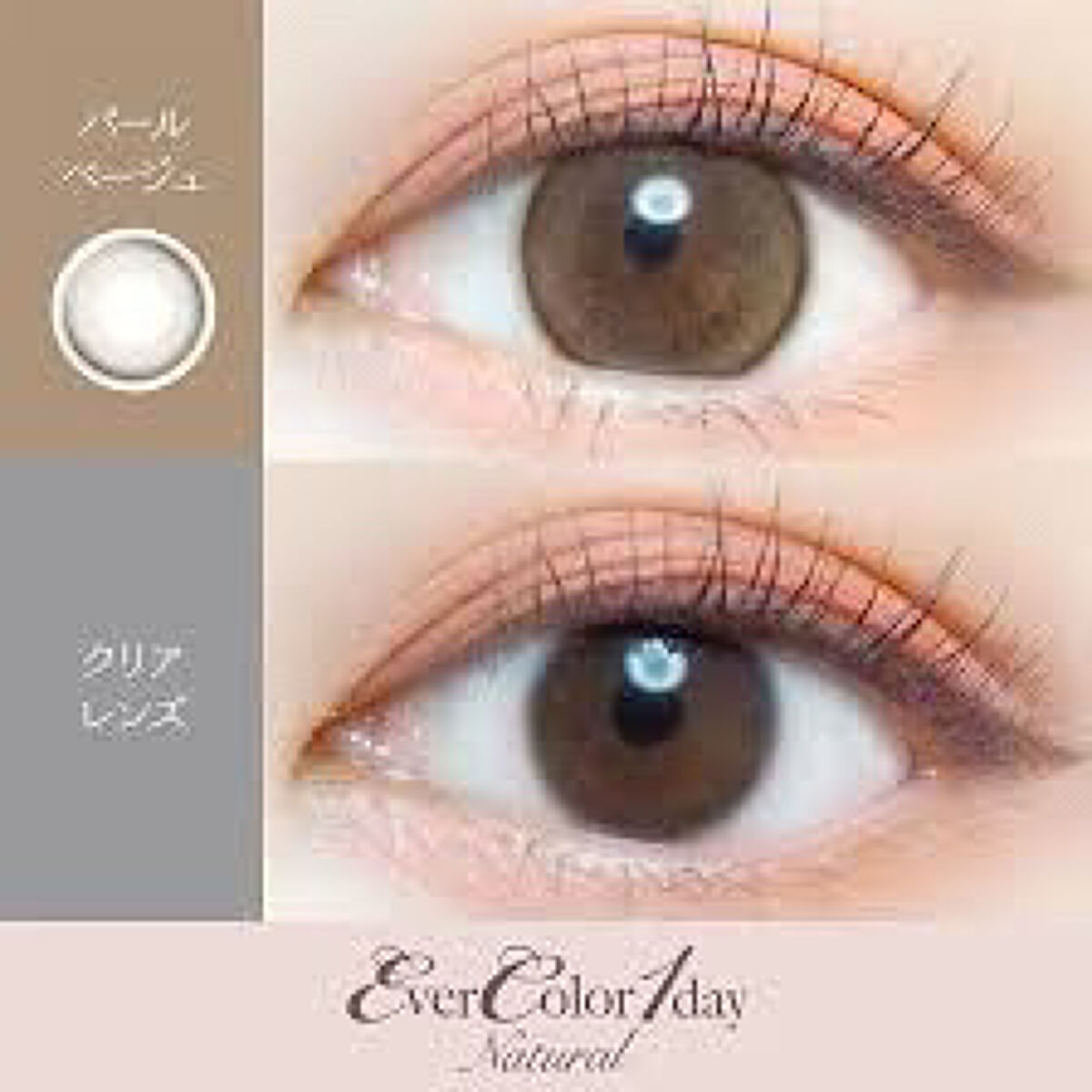 エバーカラーワンデー ナチュラル/エバーカラー/ワンデー（１DAY）カラコンを使ったクチコミ（2枚目）