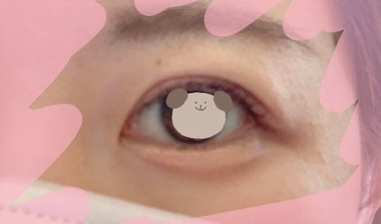 エレガンス アルモニーアイズ/Elégance/アイシャドウパレットを使ったクチコミ(4枚目)