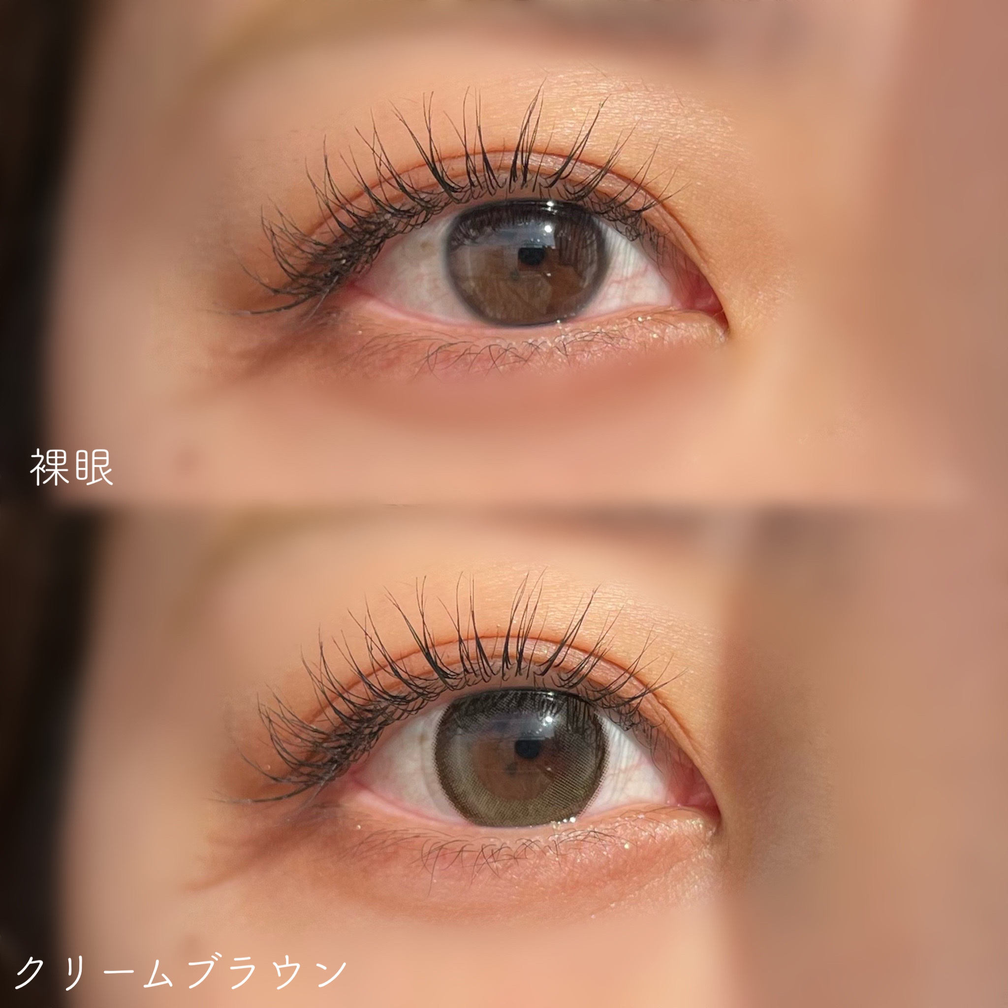 Secretive Kristen 1day/Hapa kristin/ワンデー（１DAY）カラコンを使ったクチコミ（2枚目）