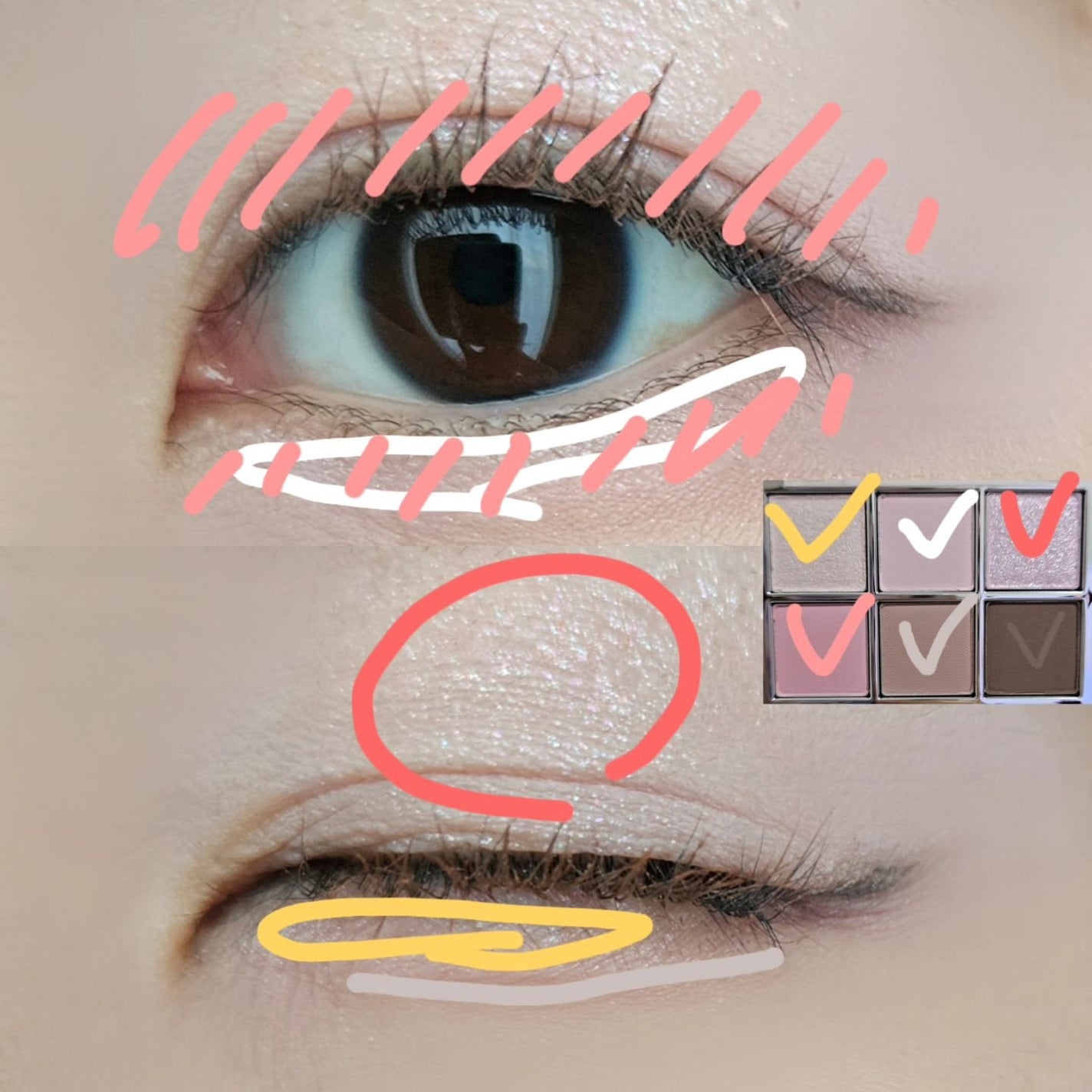 ベターミーアイパレット/2aN/マルチパレットを使ったクチコミ(6枚目)