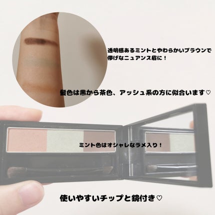 ヴィセ リシェ アイブロウパウダー/Visée/パウダーアイブロウを使ったクチコミ(2枚目)