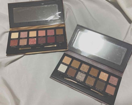 エクスプローラ12色 動物アイシャドウパレット/PERFECT DIARY/アイシャドウパレットを使ったクチコミ(2枚目)