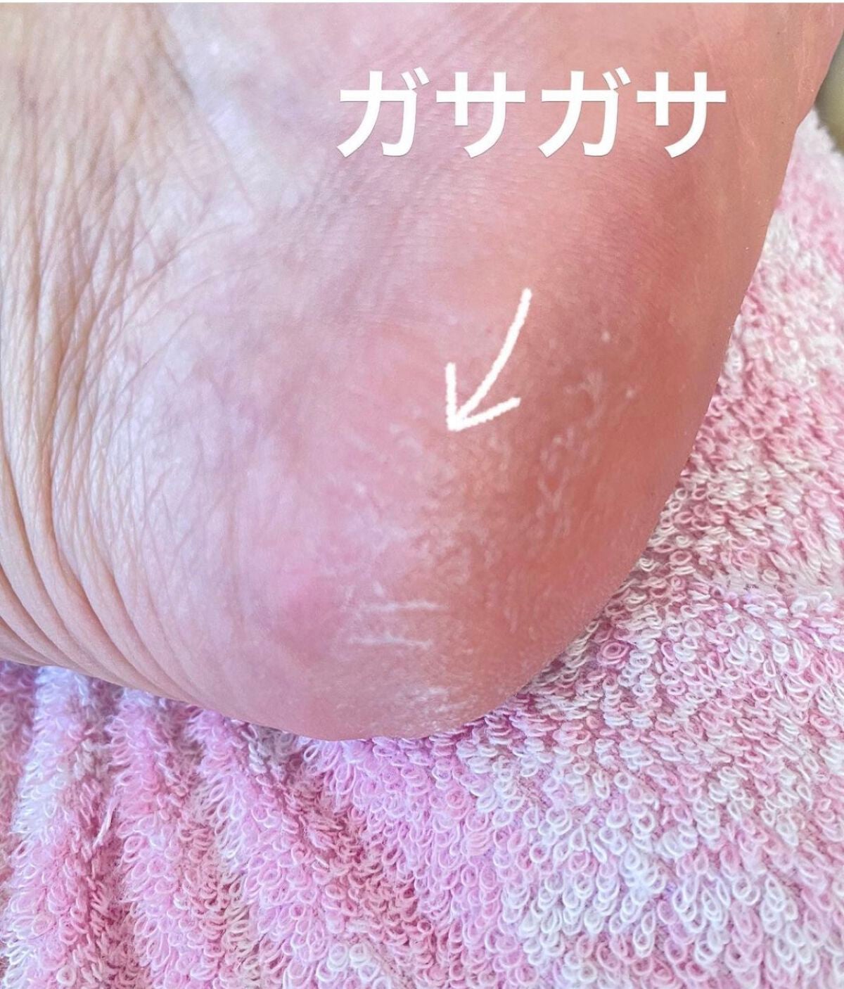 タラソ ボディオイル/algologie/ボディオイルを使ったクチコミ(2枚目)