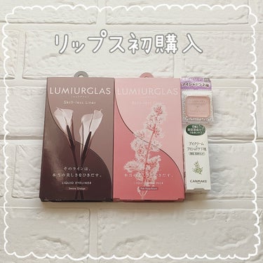 スキルレスライナー/LUMIURGLAS/リキッドアイライナーを使ったクチコミ（1枚目）