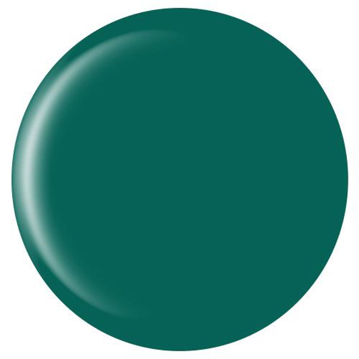 カラージェル 1007 グリーンウッド