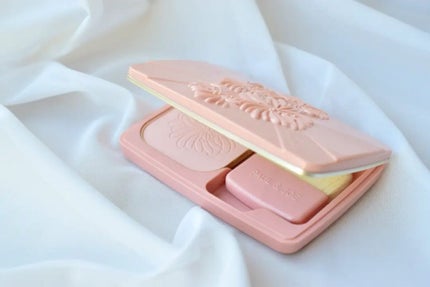 ヴェール ファンデーション N/PAUL & JOE BEAUTE/パウダーファンデーションを使ったクチコミ(2枚目)