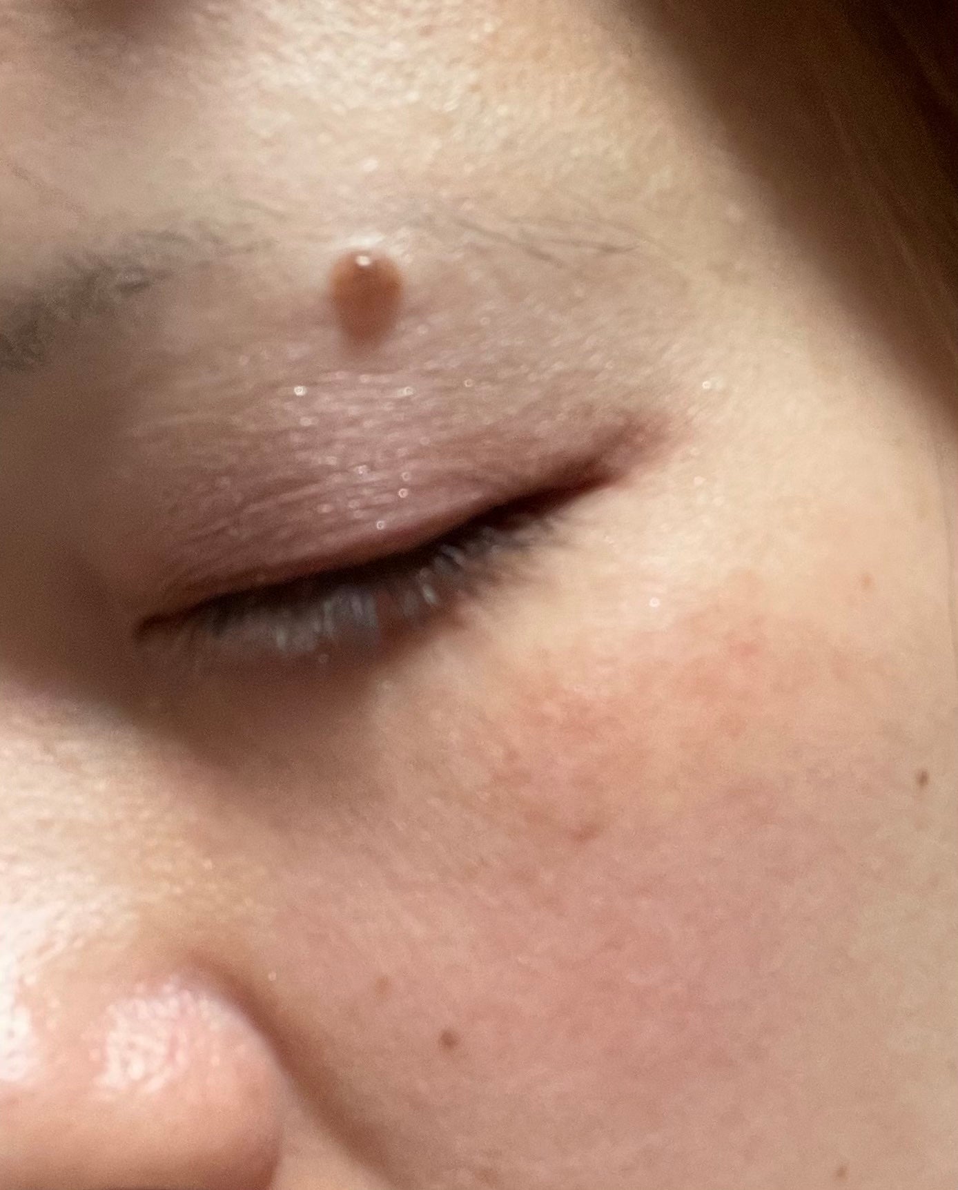 プティパレットアイズ/キャンメイク/パウダーアイシャドウを使ったクチコミ(5枚目)