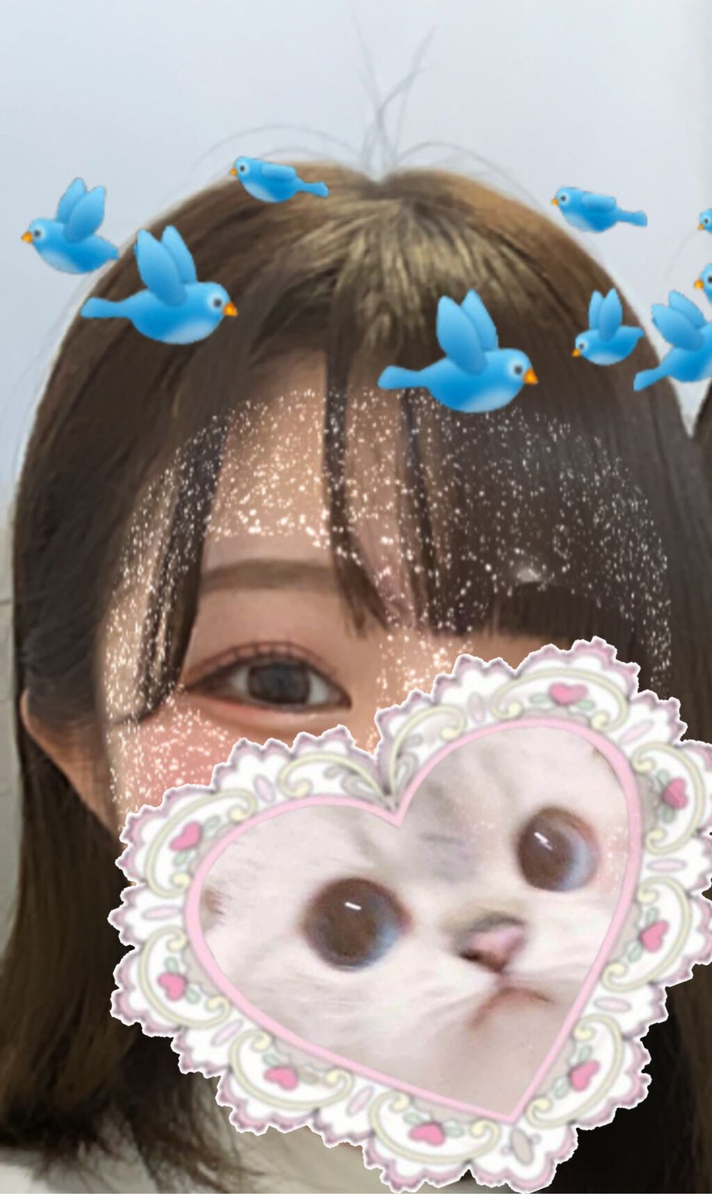 Cheritta 1day/Cheritta/ワンデー(1DAY)カラコンを使ったクチコミ(6枚目)