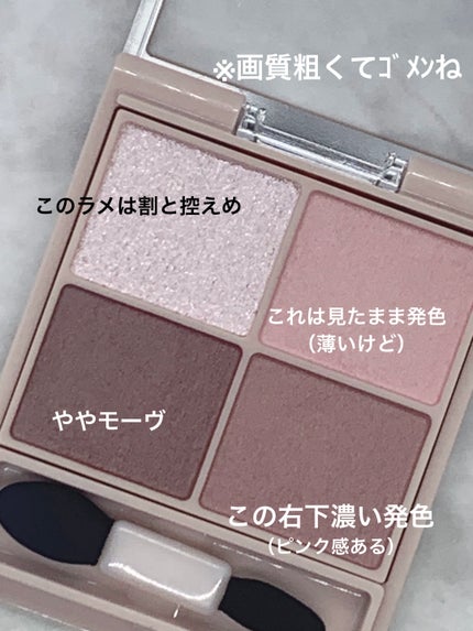 シルキースフレアイズ(マットタイプ)/キャンメイク/アイシャドウパレットを使ったクチコミ(2枚目)