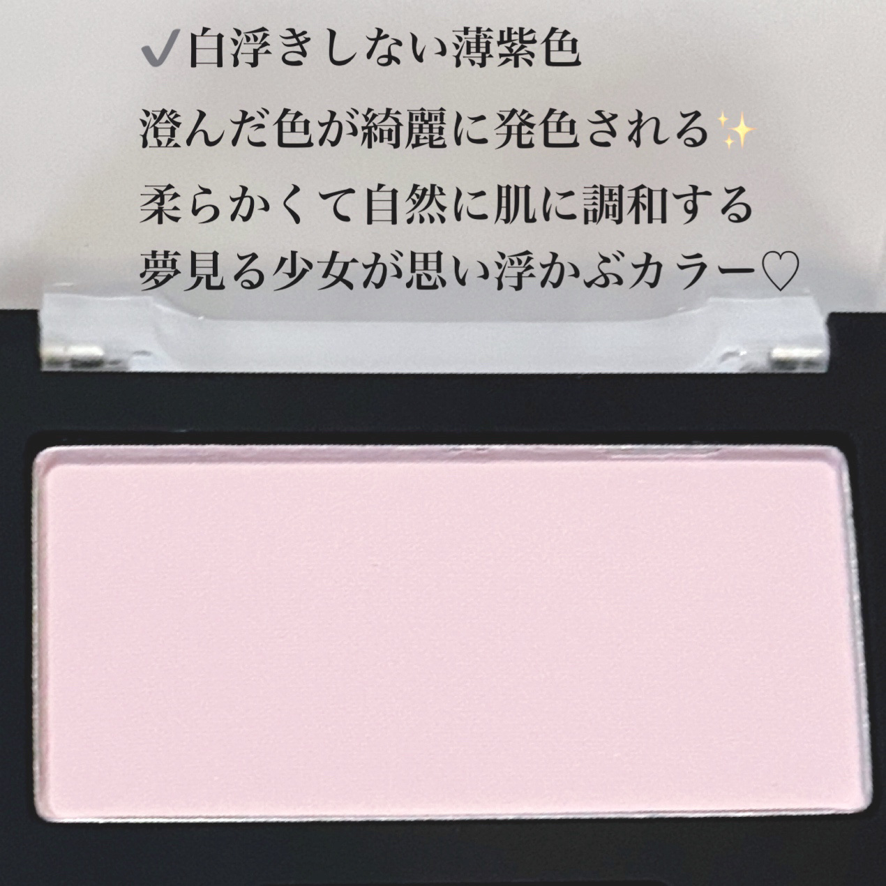 ブラーフィニシュブラッシャー/Dinto/パウダーチークを使ったクチコミ（3枚目）