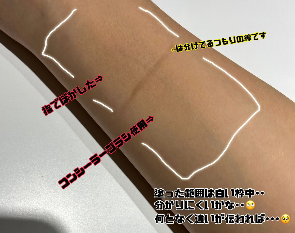 リップ&コンシーラーブラシセット/SHEIN/メイクブラシを使ったクチコミ（3枚目）