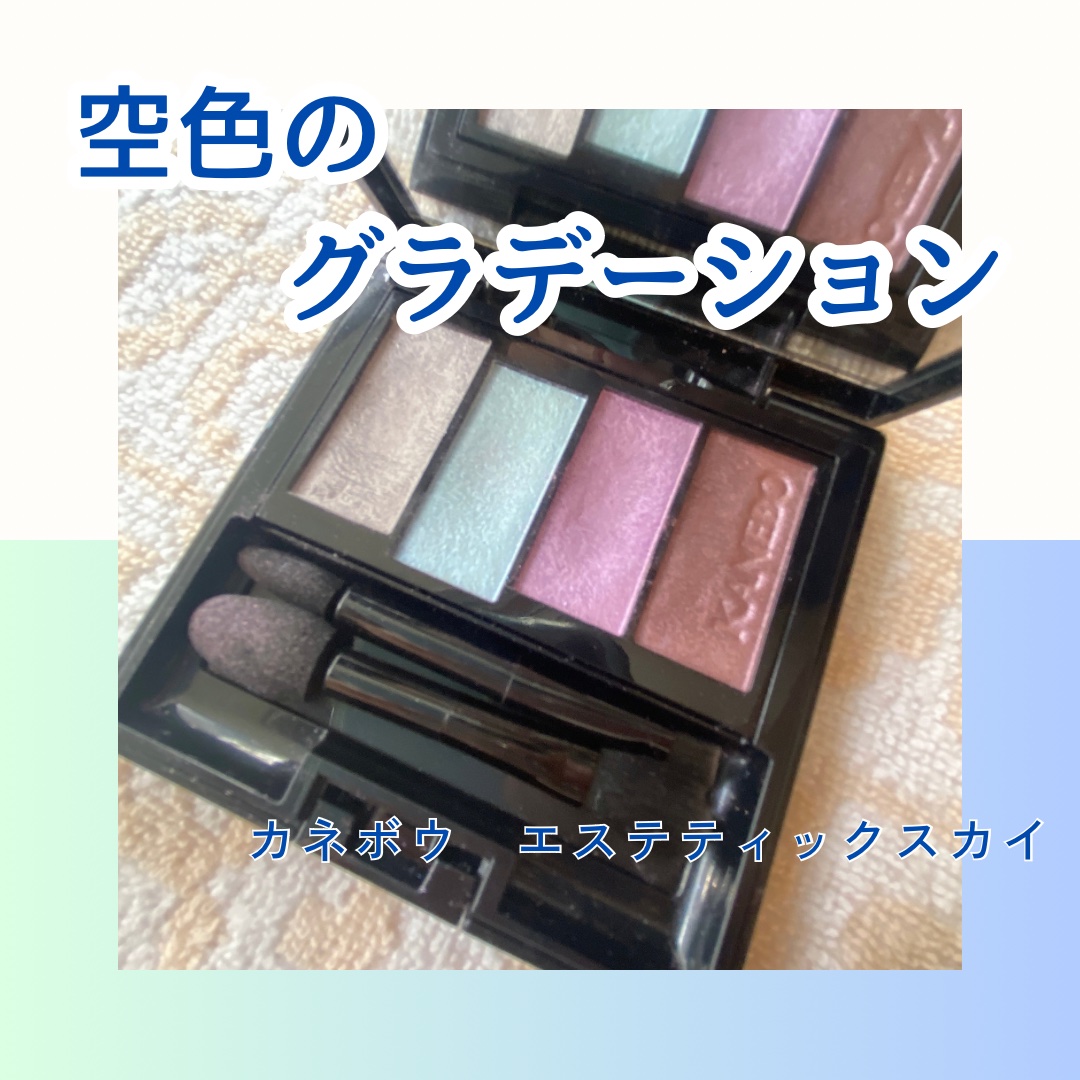 レイヤードカラーズアイシャドウ/KANEBO/アイシャドウパレットを使ったクチコミ（1枚目）