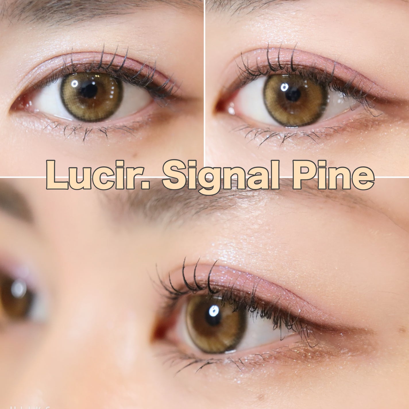 Lucir 1Day/mimundo/カラーコンタクトレンズを使ったクチコミ(4枚目)