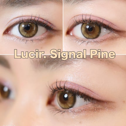 Lucir 1Day/mimundo/カラーコンタクトレンズを使ったクチコミ(4枚目)