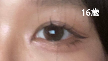 オールテイクムードライクパレット/PERIPERA/アイシャドウパレットを使ったクチコミ(2枚目)