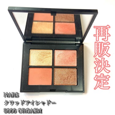 パワークローム ルースアイピグメント/NARS/ジェル・クリームアイシャドウを使ったクチコミ（1枚目）