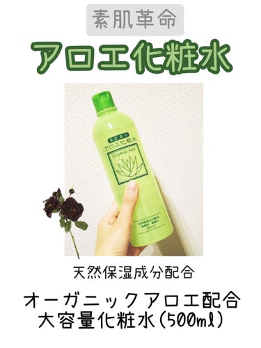 《　【素肌革命】アロエ化粧水　》
格安すぎ！！！！

使用感🔽
・少しだけトロッとした感じ
・しっとりめ
・乾燥肌におすすめ
・無香料/無着色
・コスパよし

ドラッグストアで493円で買いました！
乾