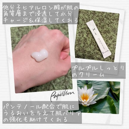 シルキーエアリーSooクリーム/xmii/フェイスクリームを使ったクチコミ(4枚目)